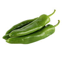 prueba