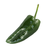 prueba