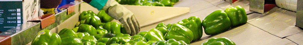 foodsafety
