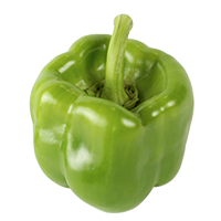 prueba